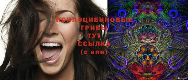 спиды Киреевск