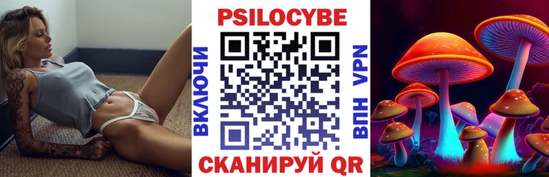 Купить  Суворов  Псилоцибиновые грибы MAGIC MUSHROOMS 